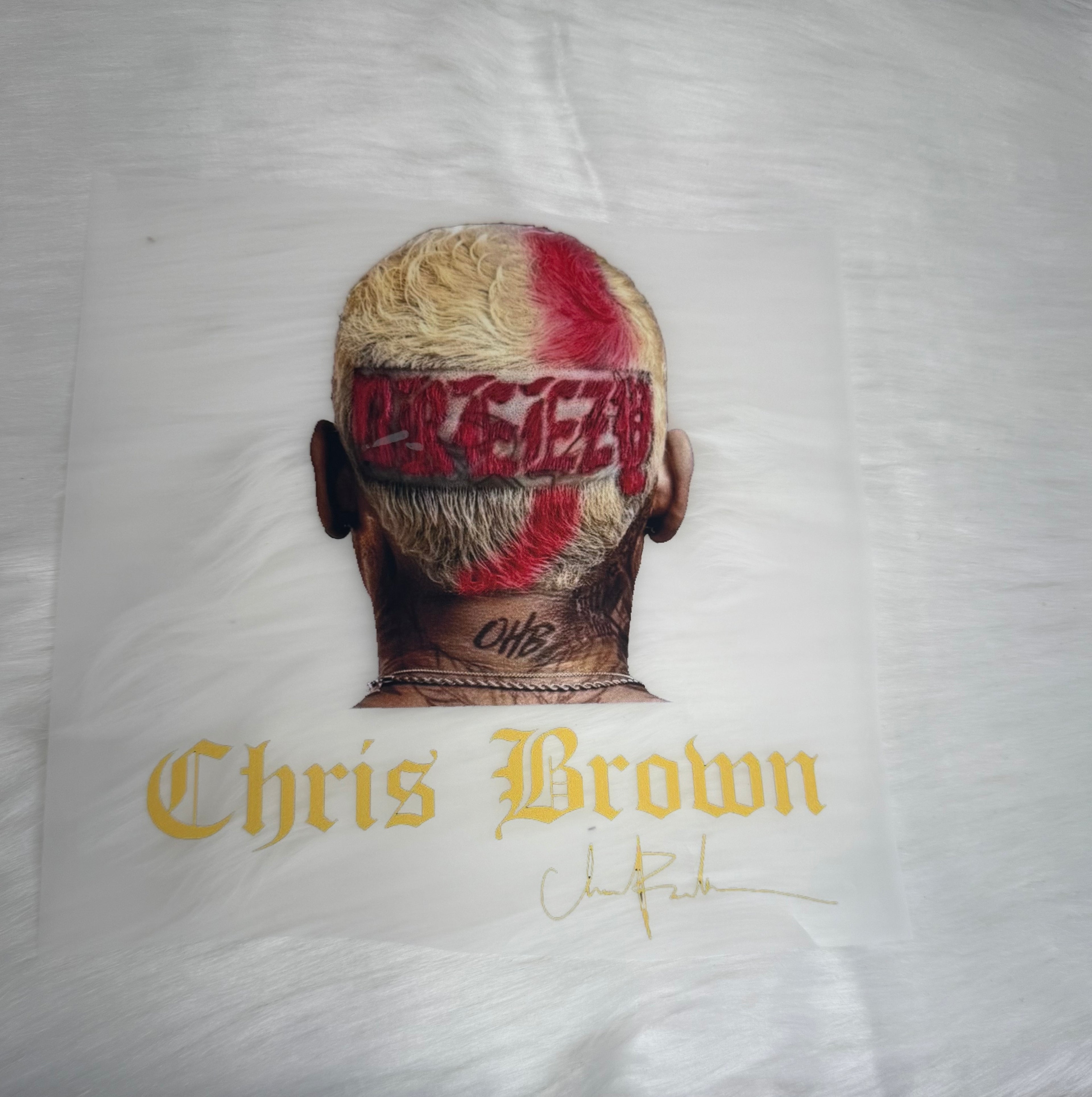 “Breezy” Chris Brown DTF’s