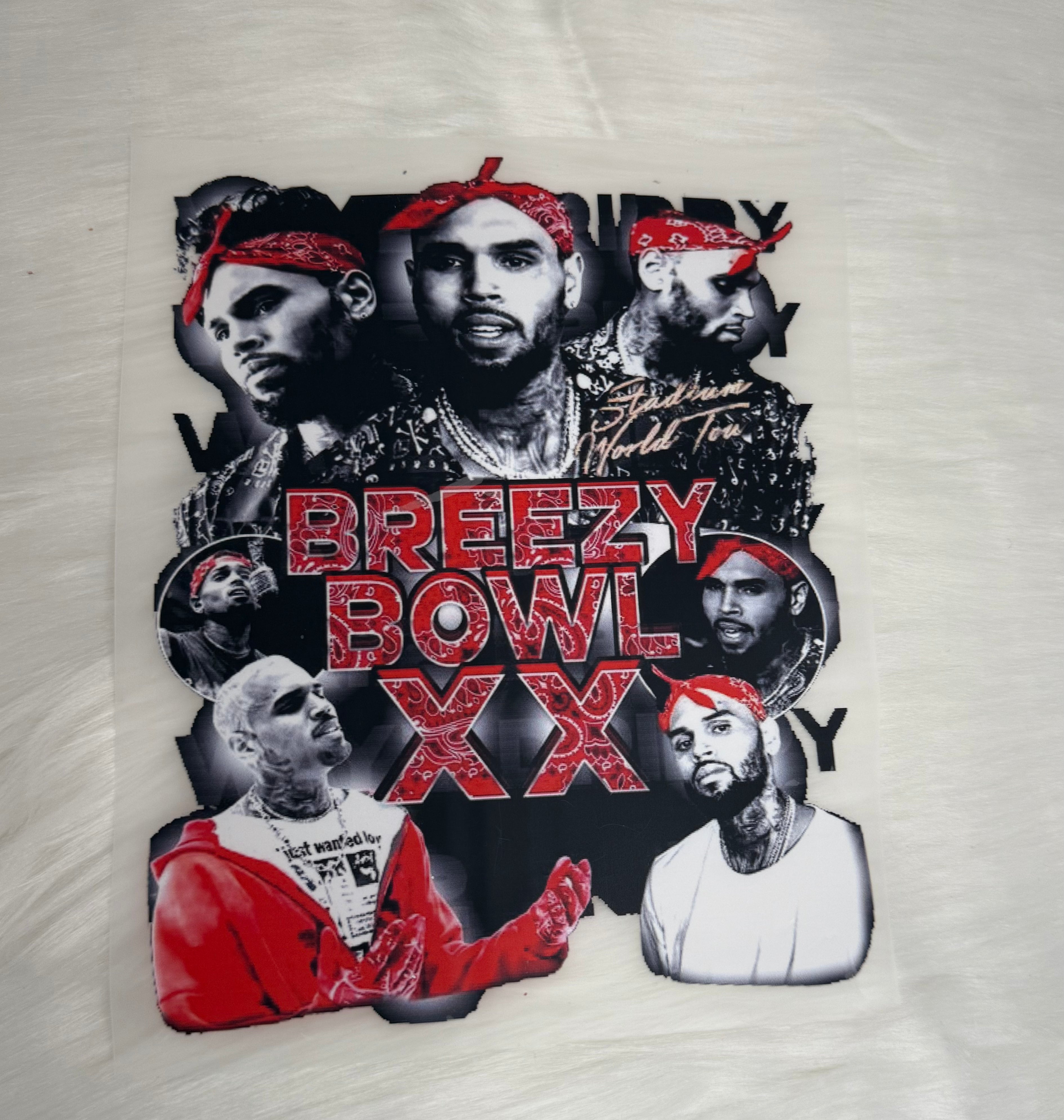 “Breezy” Chris Brown DTF’s